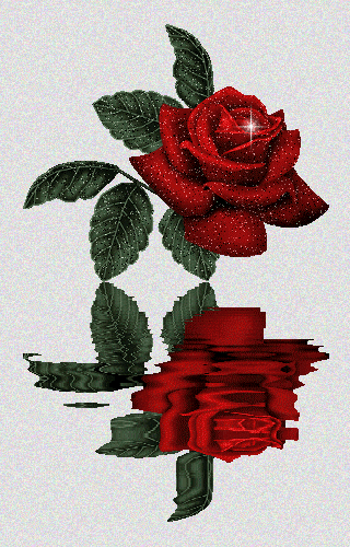  (320x500, 329Kb)