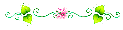 0000 (400x100, 20Kb)