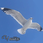  (150x150, 13Kb)