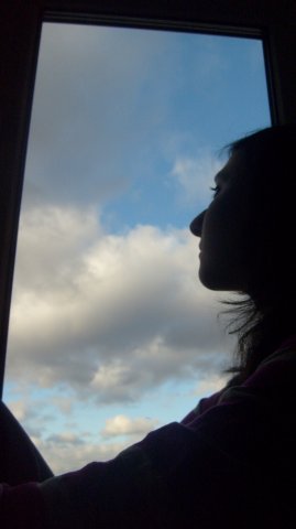 x_6979e32b (269x480, 12Kb)