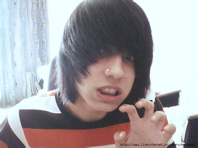 Picture 58 (640x480, 117Kb)