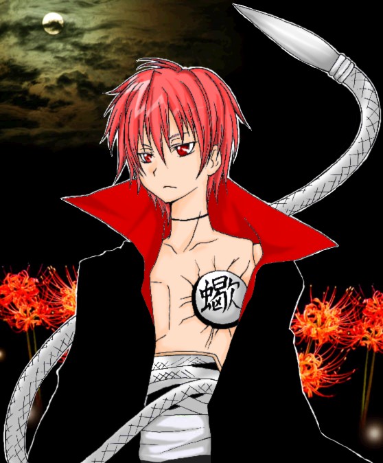 sasori2 (558x674, 93Kb)