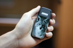 IMG_0581 (300x200, 16Kb)