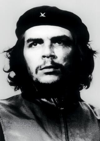 che-guevara-portrait-5001050 (321x450, 17Kb)