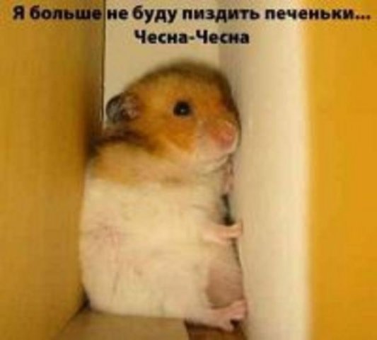  (533x480, 24Kb)