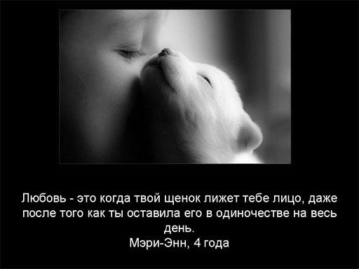 1191506111_2056190_opros_008 (512x384, 19Kb)