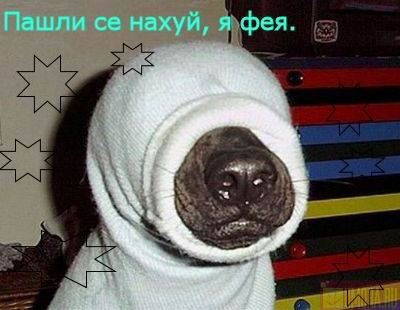  (400x310, 37Kb)