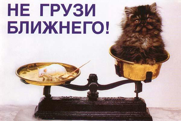  (600x401, 38Kb)
