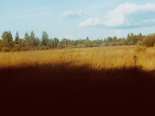  (500x375, 155Kb)