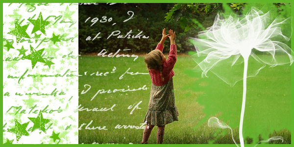  (600x300, 232Kb)