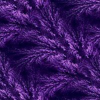 (200x200, 19Kb)