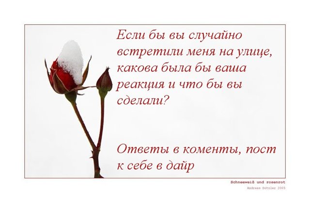  (640x453, 36Kb)