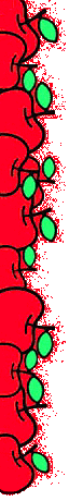 f_8350944 (77x460, 15Kb)