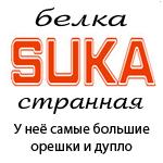 http://img1.liveinternet.ru/images/attach/b/3/4/698/4698739_762955_Belka.jpg