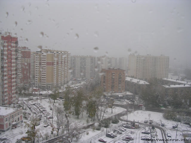  (640x480, 49Kb)