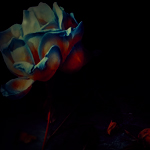  (150x150, 12Kb)