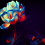  (150x150, 22Kb)