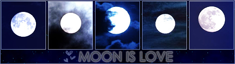 1192627161_3715748_3182374_moon_is_love (470x129, 43Kb)