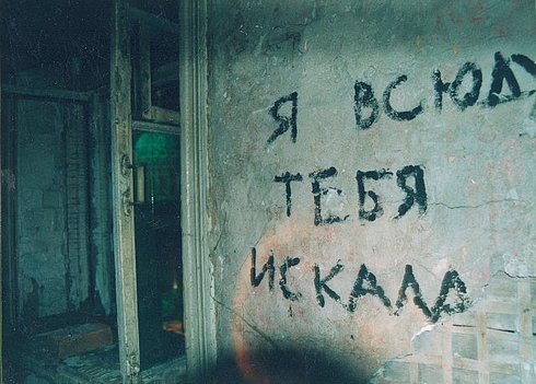 16782942 (490x351, 46Kb)