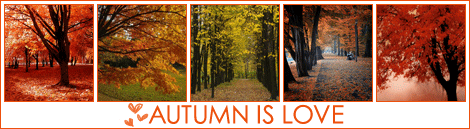 3455024_autumn (470x129, 42Kb)