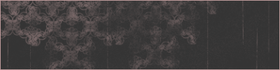  (400x100, 266Kb)