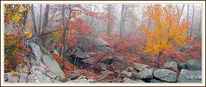 2417438-md (679x288, 67Kb)