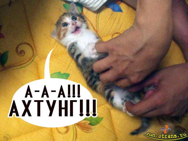  (640x480, 141Kb)