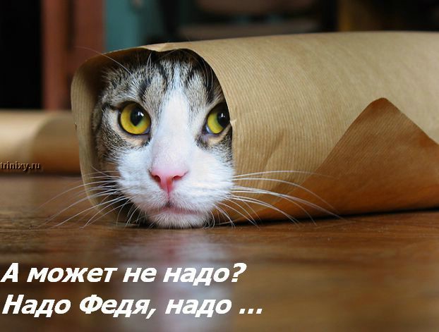  (622x471, 60Kb)
