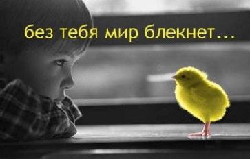  (363x232, 11Kb)