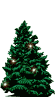  (80x141, 15Kb)