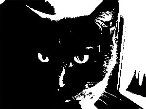  (300x225, 12Kb)