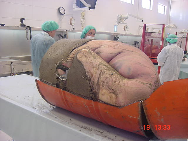  (640x480, 37Kb)