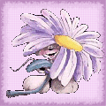  (120x120, 20Kb)