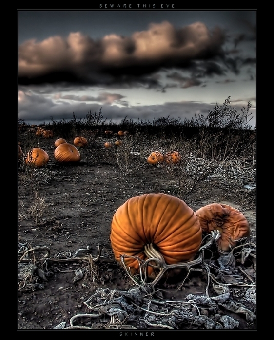 Beware_This_Eve_by_wb_skinner (562x699, 249Kb)