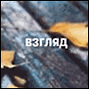  (100x100, 39Kb)