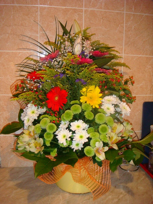 DSC00042 (525x700, 182Kb)