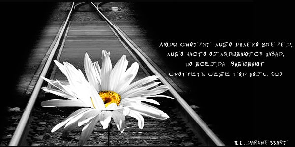 1194106739_Cvetok (600x300, 41Kb)