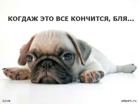 фото надоело всё онлайн фото надоело всё
