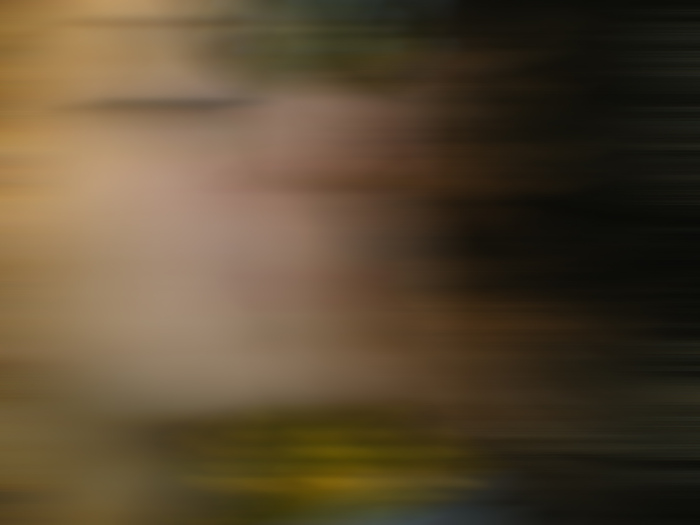 PB050696 (700x525, 51Kb)