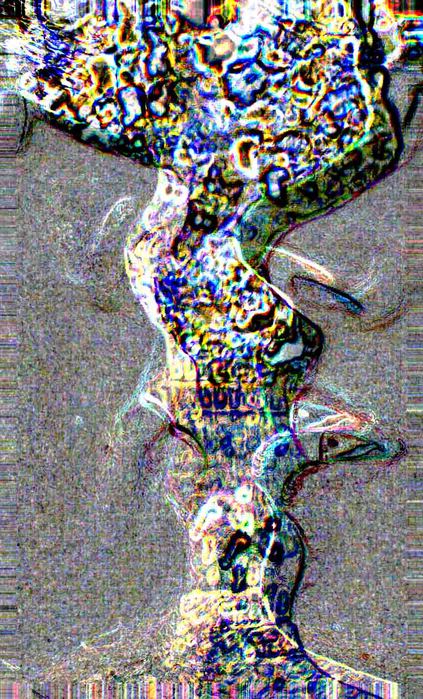 PB050680 (2) (423x699, 118Kb)