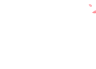 837999_567004_lepestki  <br />
(312x224, 26Kb)