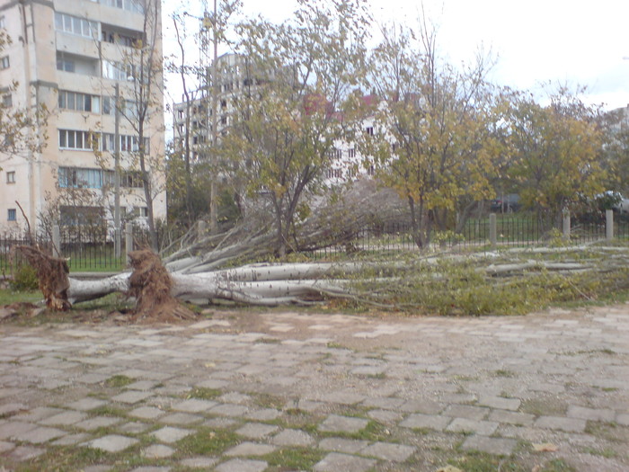 Чанган в севастополе