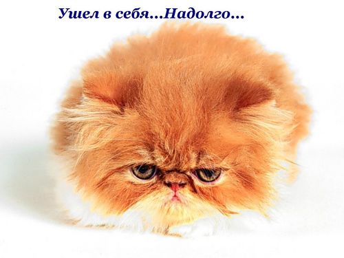  (500x375, 26Kb)