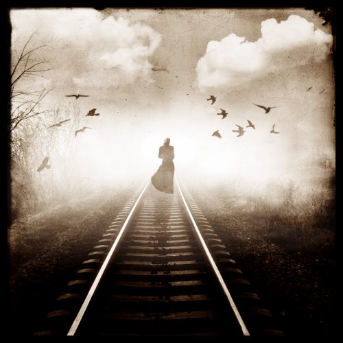 1-web9 (500x500, 51Kb)