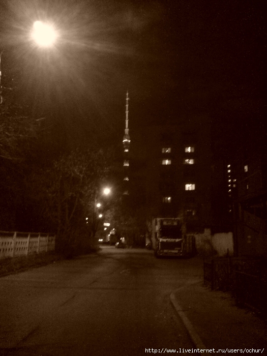 DSC01424 (525x700, 124Kb)