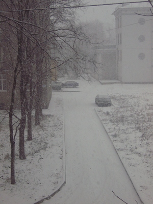 SNC10523 (300x400, 79Kb)