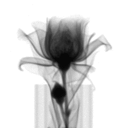 13959335_5569278_1_128 (256x256, 1247Kb)
