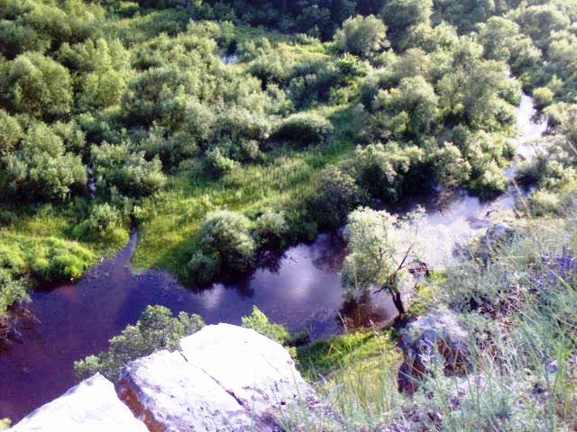  (640x480, 96Kb)