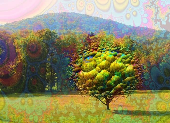  (700x508, 237Kb)