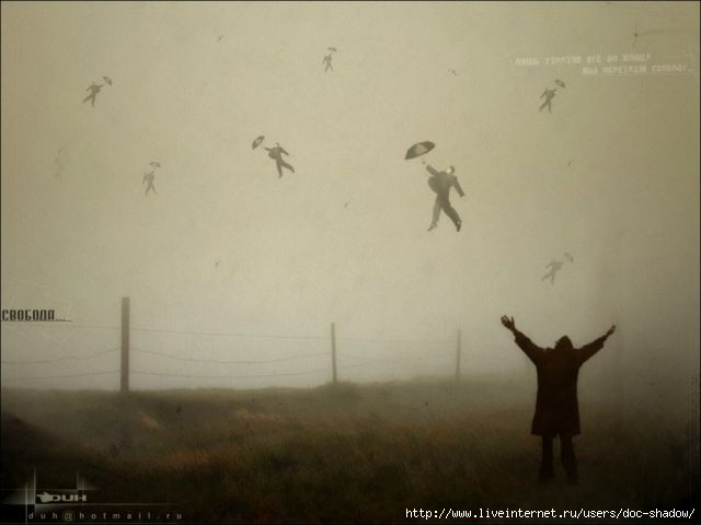  (640x480, 23Kb)